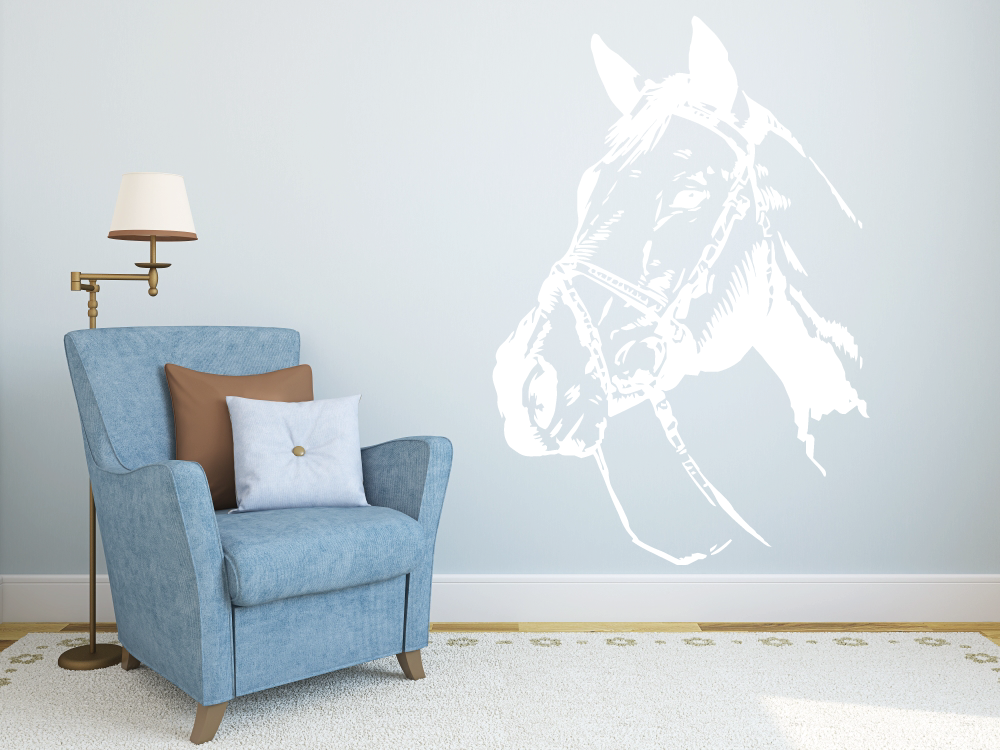 Kůň detail - Samolepka na zeď