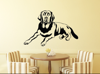 Pes Labrador - Samolepka na zeď