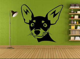 Čivava - Chihuahua - Samolepka na zeď